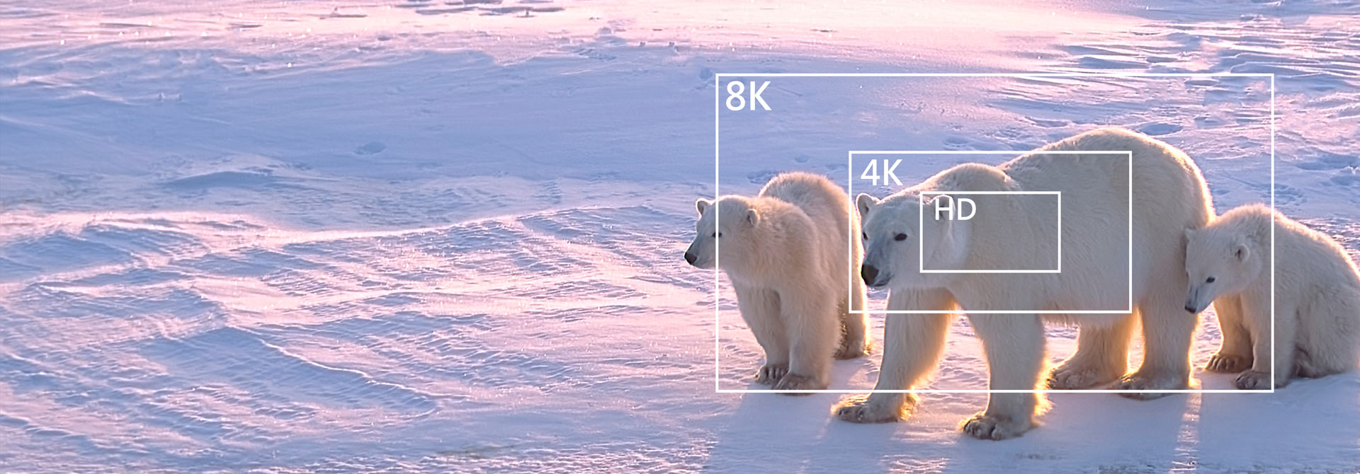 Supports 8K and 4K videography, ensuring the best image resolution