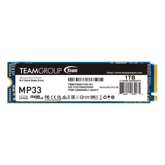 MP33 M.2 PCIe SSD 1TB