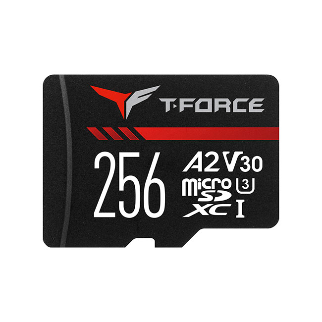 Gaming A2 Memory Card 256GB