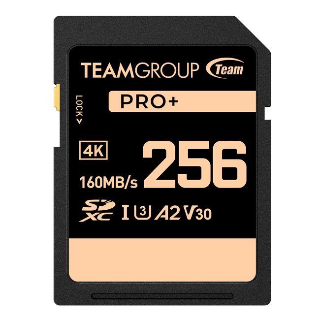 PRO+ SDXC Memory Card 256GB