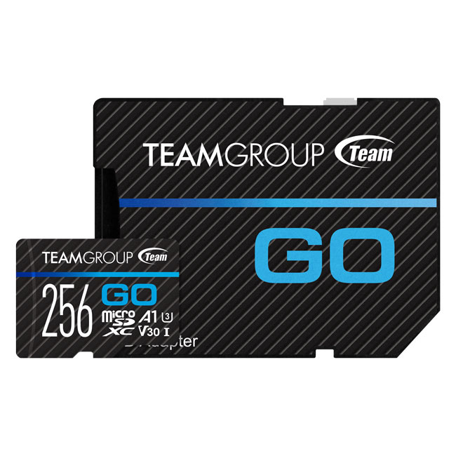 GO Micro SDXC UHS-I U3 V30 Memory Card 256GB with 1 Adapter