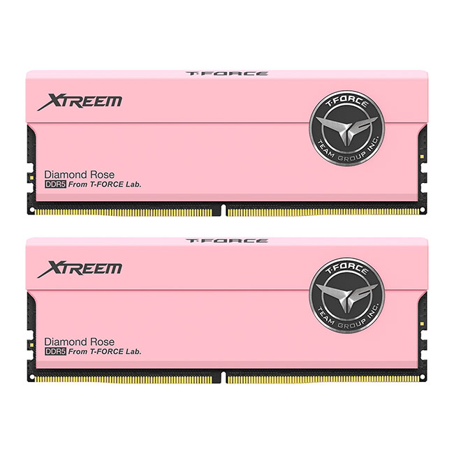 XTREEM DDR5 DESKTOP MEMORY PINK